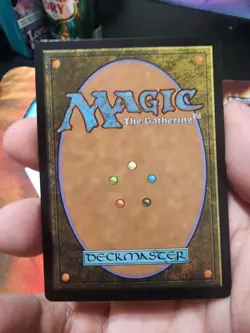 Selfless Safewright (Showcase) (Fracture Foil) Lorwyn Eclipsed Foil - Image 2