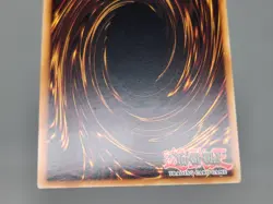 YuGiOh Earthbound Immortal Cusillu ANPR-EN016 1st Edition Ultimate Rare LP - Image 4