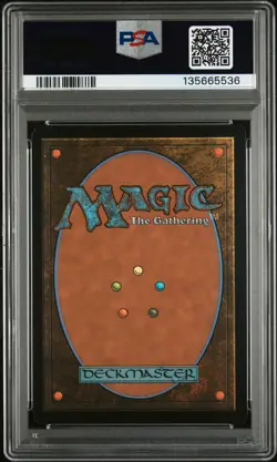 2025 MTG MARVEL'S SPIDER-MAN SCENE BORDERLESS-FOIL #0204 SPIDER-MAN NOIR PSA 8 - Image 2