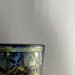 Forest Chocobo Track Foil Card #0482 MTG LP - Image 3