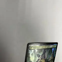 Forest Chocobo Track Foil Card #0482 MTG LP - Image 4