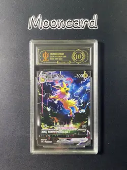 APH Black 10* Pokemon Chinese Jolteon VMAX Full Art CSHC 009/009 - Image 1