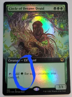 MTG Circle Of Dreams Druid - Extended Art Foil -Forgotten Realms - LP (see desc) - Image 3