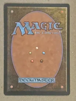 Lim-Dul's Vault - Alliances - Near Mint | MTG - Image 2