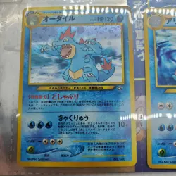 Pokemon Card Japanese Neo Genesis Premium File 1 Folder Typhlosion - Mint - Image 5