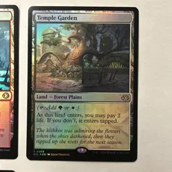 MtG Lorwyn Eclipsed Cards (Lot of 4) Rare Foil Shock Lands Near Mint Blood Crypt - Image 5