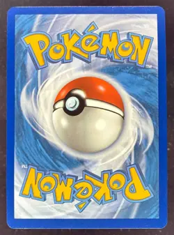 2024 Pokemon SV Temporal Forces - TEF EN #208/162 Raging Bolt ex - Image 2