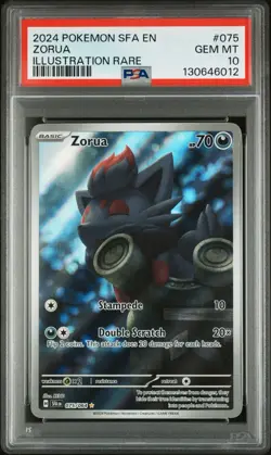 2024 Pokemon Zorua 075/064 Shrouded Fable Illustration Rare PSA 10 Gem Mint - Image 1