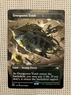 Overgrown Tomb (Borderless) Unfinity Regular - Image 1