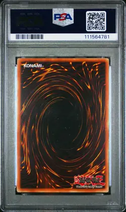 Yu-Gi-Oh Blue-Eyes White Dragon 1st Edition SP-001 LP Super Rare Spanish - Image 2