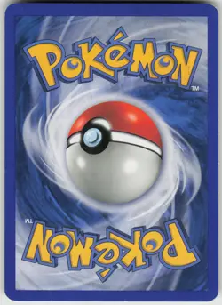 Pokemon TCG Blaziken Holo Rare Ruby and Sapphire 3/109 - Image 2