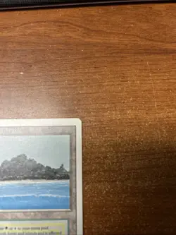 MTG Tropical Island - Revised Edition - Dual Land - Lightly Played LP - Image 5