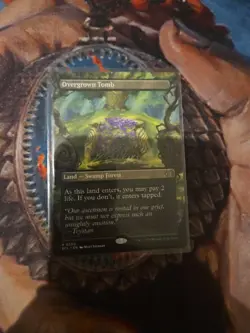 Overgrown Tomb (Borderless) Lorwyn Eclipsed Regular - Image 1