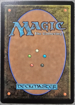 Howlsquad Heavy (Rare-Borderless) #0342 Aethershift MTG Near Mint - Image 2