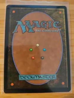 MTG Plains (FOIL Full Art) 272 Lord of the Rings M/NM Free UK P&P - Image 2