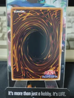 Dark Magician QCCU-JP001 Yu-Gi-Oh Ultra Rare Yugioh OCG JAPAN - Image 3