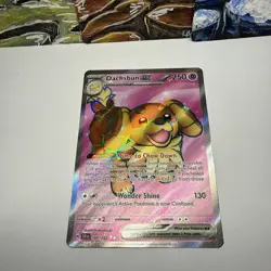 Dachsbun ex 160/142 | Stellar Crown | Pokemon Card | NM - Image 2