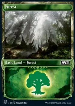 Basic Land Forest 313 Showcase FOIL M21 Core set 2021 MTG Magic The Gathering - Image 1