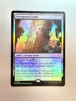 Overgrown Tomb - 266 - MTG: Lorwyn Eclipsed - Rare - FOIL - Image 1