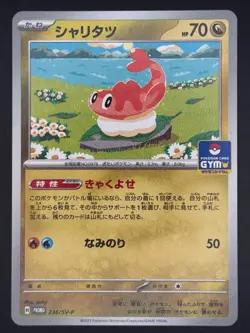 Pokemon Tatsugiri 236/SV-P Gym Promo Japanese - Image 1