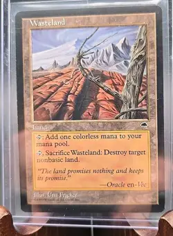 Wasteland Tempest MTG Regular Moderately Played - Image 3