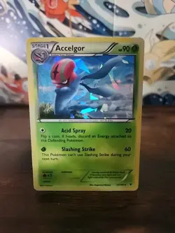 Accelgor 12/101 Holo BW Noble Victories Cracked Ice Holo Rare Pokemon - Image 2