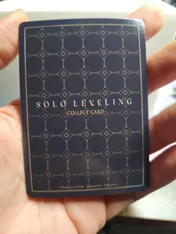 Solo Leveling Sung Jinwoo SL1E-PM04 Identity Card Rank S Mapniverse NM Authentic - Image 2