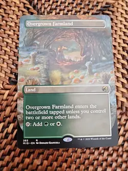 Overgrown Farmland (Borderless) Innistrad: Midnight Hunt Regular - Image 1