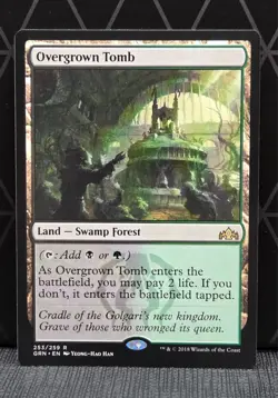 Overgrown Tomb (NonFoil) R - Guilds of Ravnica (GRN) MTG - 253 NM - Image 1