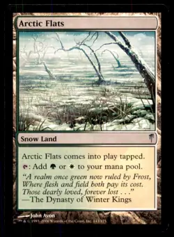MTG Arctic Flats LP Light Play Coldsnap [3065] - Image 1