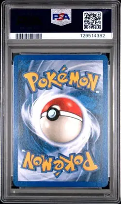 PSA 10 URSARING 110 SKYRIDGE POKEMON GEM MINT - Image 2