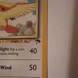 Pokemon Pidgeot Southern Islands 2/18 Regular Promo 70HP English Nintendo Card - Image 4
