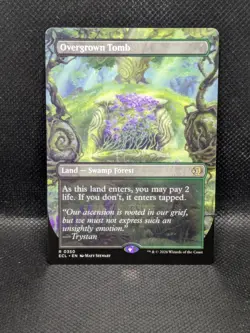 Overgrown Tomb (Borderless) Lorwyn Eclipsed Regular - Image 1
