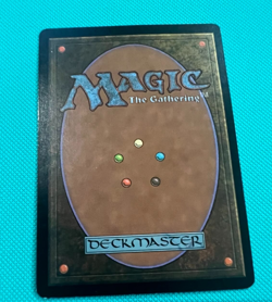 Yavimaya Coast - Apocalypse - MTG - Magic the Gathering - Image 3