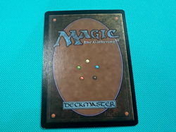 Yavimaya Coast - Apocalypse - MTG - Magic the Gathering - Image 4