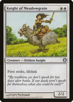 Knight of Meadowgrain Duel Decks Knights vs Drago Light Play MTG Magic DNA GAMES - Image 1
