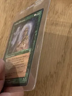 Willow Priestess - Homelands - MTG Magic the Gathering - Free Shipping - Image 4