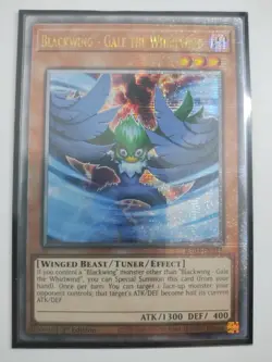 Blackwing - Gale the Whirlwind (Quarter Century Secret Rare) RA03-EN215 - Image 1