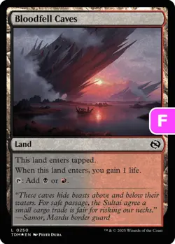 MTG Bloodfell Caves TDM L Land *Foil* NM - Image 1