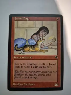 Jackal Pup - MTG Tempest - PL - Image 1