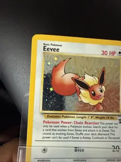 Pokemon TCG Eevee #11 Black Star Holo Promo - Image 3