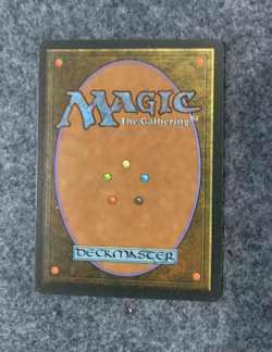 Magic: The Gathering MTG Savannah FWB French Revised 3rd Ed 1994 Near-Mint/NM!!! - Image 2