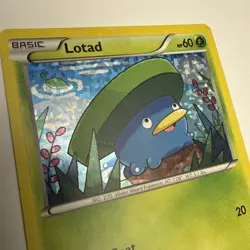 Lotad - 2/12 - 2015 McDonald's Holo Promo - Pokemon Card LP - Image 2