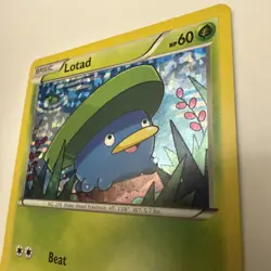 Lotad - 2/12 - 2015 McDonald's Holo Promo - Pokemon Card LP - Image 3