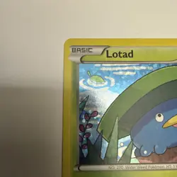 Lotad - 2/12 - 2015 McDonald's Holo Promo - Pokemon Card LP - Image 5