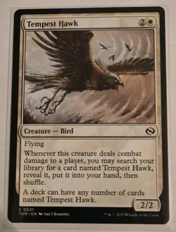 Tempest Hawk Tarkir: Dragonstorm Regular - Image 1