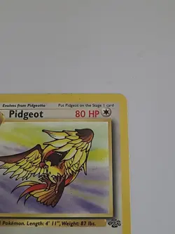 Pidgeot 24/64 Jungle Set Rare Non Holo Pokemon Card - Image 5