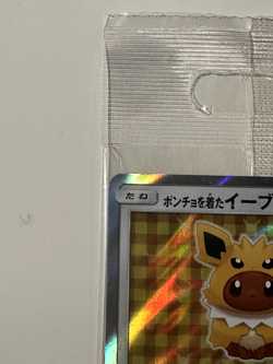 Poncho Wearing Eevee Jolteon 138/SM-P PROMO Sealed Pokemon Card Japanese - Image 2