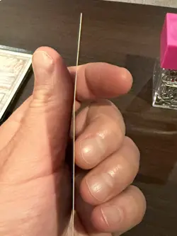 Savannah Revised Magic The Gathering MTG Dual Land Regular LP Never Played - Image 5