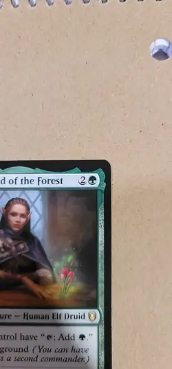MTG Jaheira, Friend of the Forest - Image 3